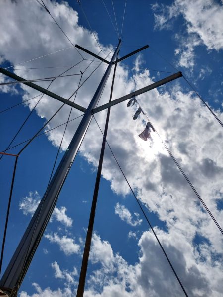 Mast-450x600 Cannes Yachting Festival so besonders?